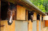 free Barnsley stable construction quotes